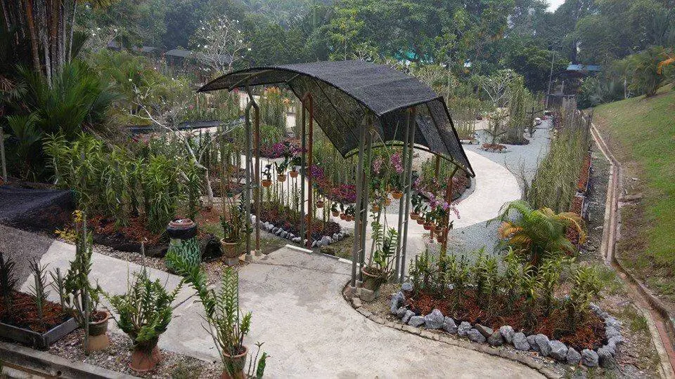 Taman orkid