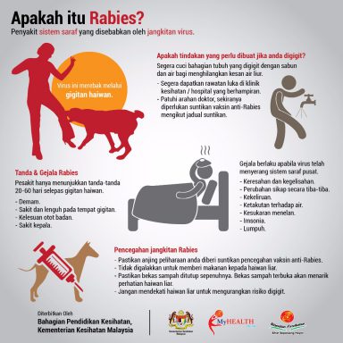 Kanak-Kanak 7 Tahun Dari Gedong Mangsa Keenam Rabies