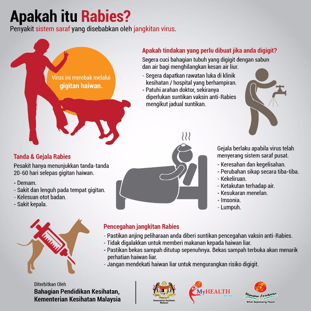 Rabies Memasuki Pusat Bandar Kuching Rabies Memasuki Pusat Bandar Kuching