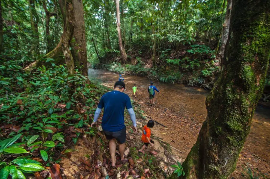 Greatown-2D1N-Ulu-Sarikei-Jungle-trekking-900x598